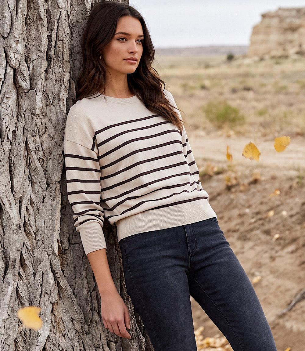 Stripe Crewneck Sweater