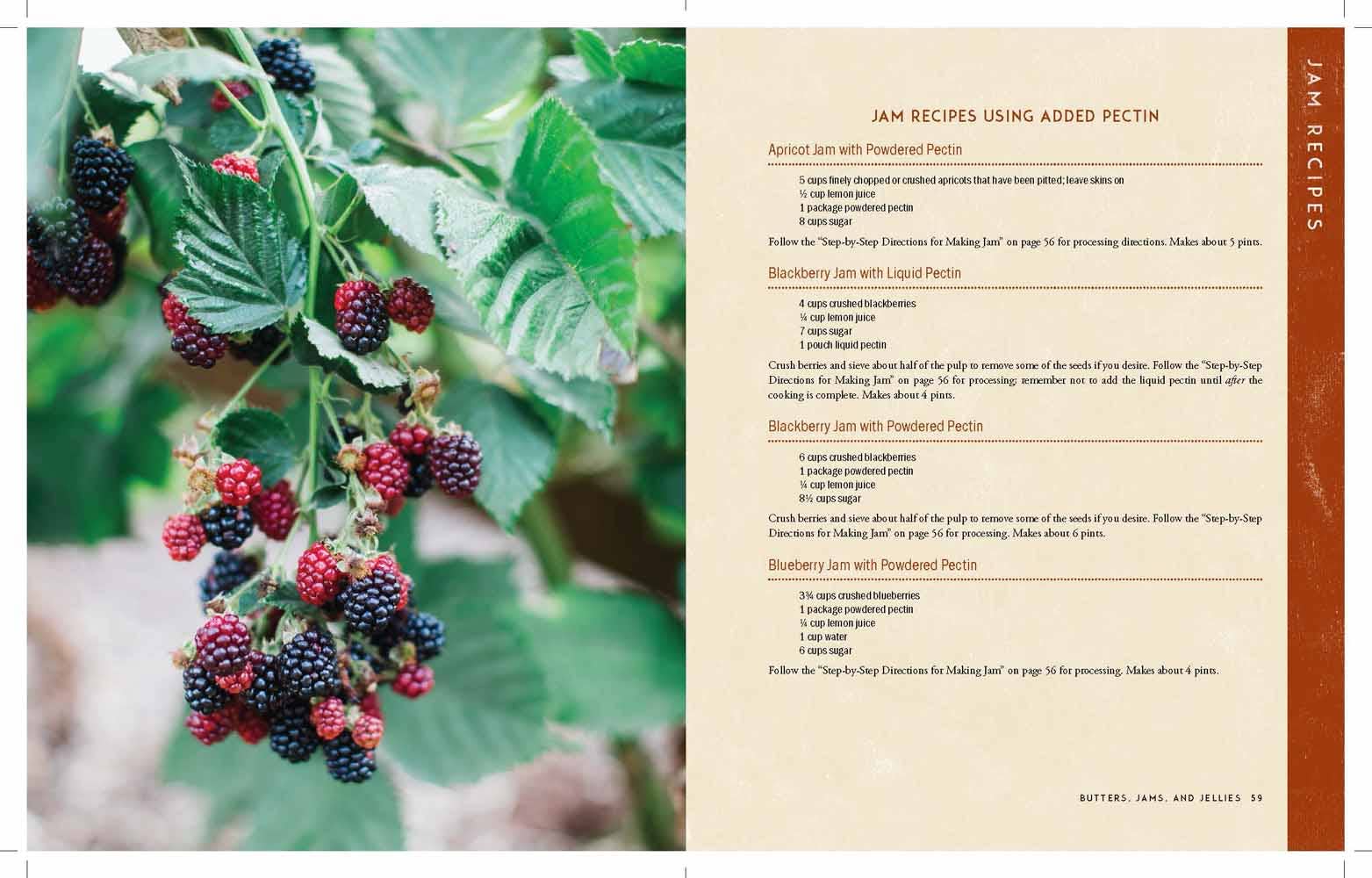 Harvest House Publishers Gift & Specialty Books - The Homestead Canning Cookbook: Paperback / English