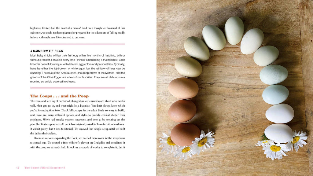 Harvest House Publishers Gift & Specialty Books - The Grace-Filled Homestead: Hardcover / English