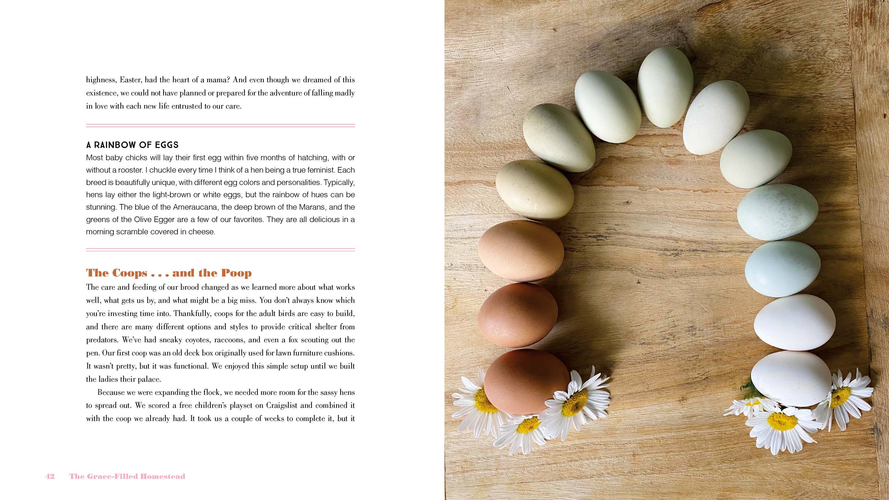 Harvest House Publishers Gift & Specialty Books - The Grace-Filled Homestead: Hardcover / English