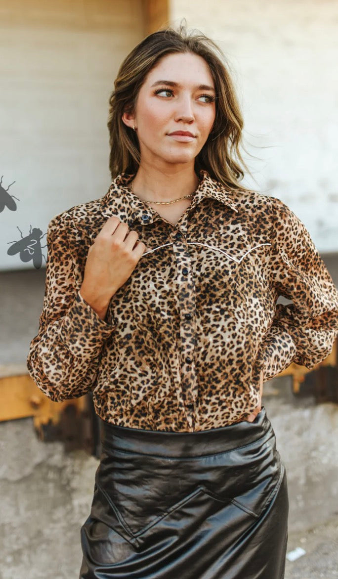 Wild West Leopard