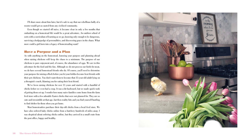 Harvest House Publishers Gift & Specialty Books - The Grace-Filled Homestead: Hardcover / English