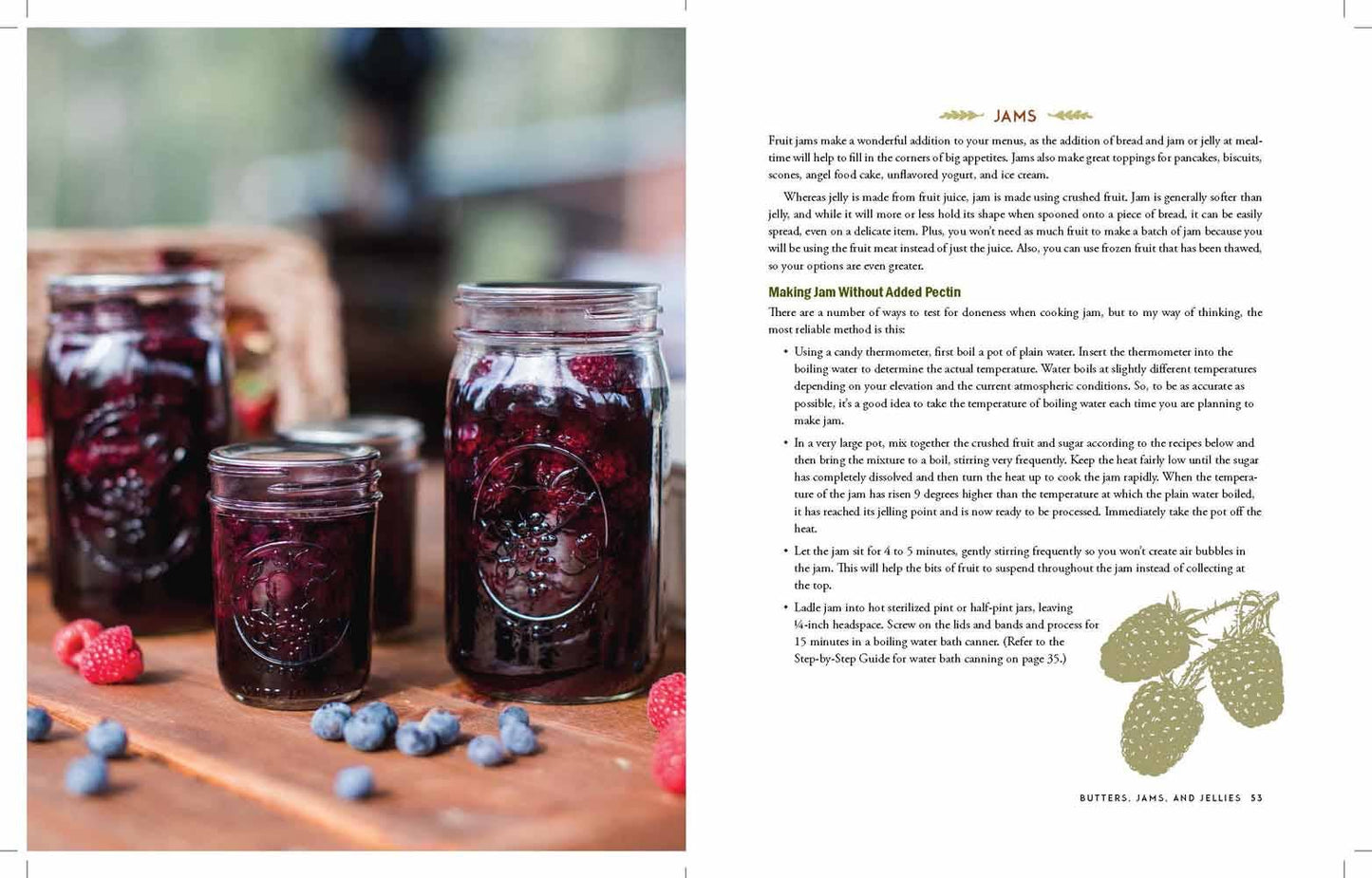 Harvest House Publishers Gift & Specialty Books - The Homestead Canning Cookbook: Paperback / English